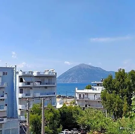 Delfini Patras