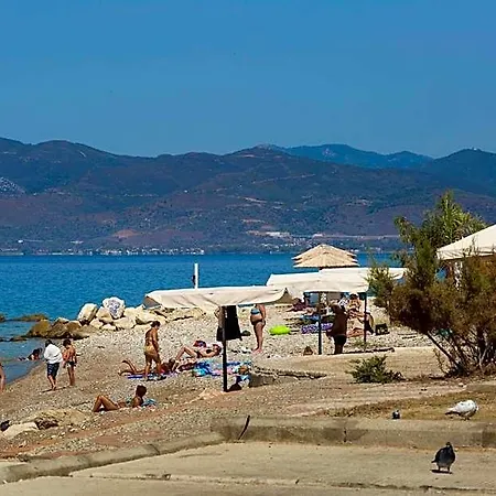 Delfini 2* Patras