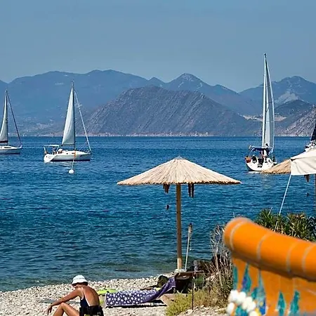 Delfini Hotel